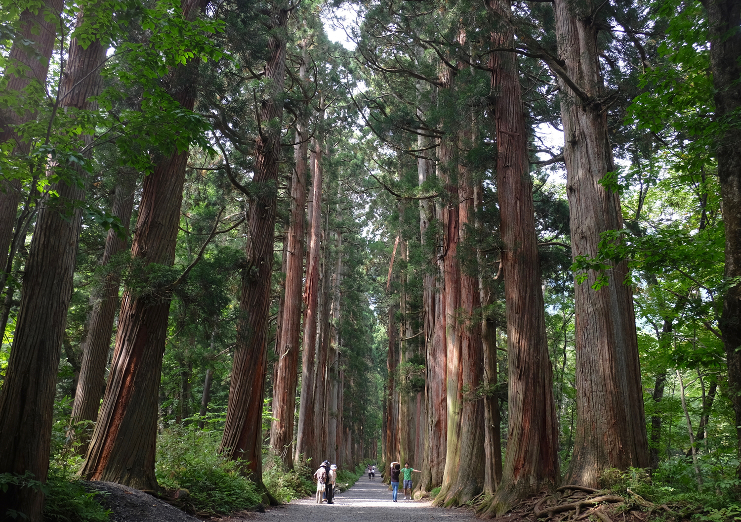沿革